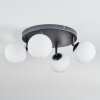 Chehalis Plafondlamp, Kogellampje Wit, 4-lichts