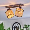 Ramila Plafondlamp, Plafondspot Zwart, 2-lichts