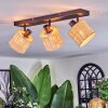 Cavaca Plafondlamp, Plafondspot Zwart, 3-lichts
