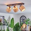 Bongal Plafondlamp, Plafondspot Zwart, 3-lichts