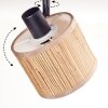 Bongal Plafondlamp, Plafondspot Zwart, 3-lichts