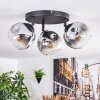Ripoll Plafondlamp, Kogellampje Chroom, Duidelijk, Rookkleurig, 3-lichts