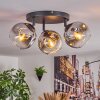 Ripoll Plafondlamp, Kogellampje Chroom, Duidelijk, Rookkleurig, 3-lichts