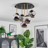 Ripoll Plafondlamp, Kogellampje Messing, Zwart, 5-lichts
