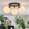 Chehalis Plafondlamp, Kogellampje 25 cm Wit, 3-lichts