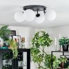 Chehalis Plafondlamp, Kogellampje 30 cm Wit, 4-lichts