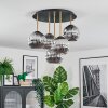 Ripoll Plafondlamp, Kogellampje Messing, Zwart, 5-lichts