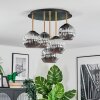 Ripoll Plafondlamp, Kogellampje Messing, Zwart, 5-lichts