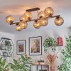 Ripoll Plafondlamp, Kogellampje Goud, Zwart, 10-lichts