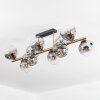 Ripoll Plafondlamp, Kogellampje Goud, Zwart, 10-lichts