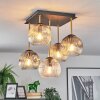 Ripoll Plafondlamp, Kogellampje Goud, Zwart, 5-lichts