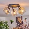 Ripoll Plafondlamp, Kogellampje Amber, Duidelijk, Rookkleurig, 3-lichts