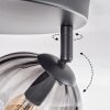 Koyoto Plafondlamp, Kogellampje Duidelijk, Rookkleurig, 3-lichts