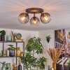 Koyoto Plafondlamp, Kogellampje Duidelijk, Rookkleurig, 3-lichts