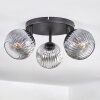 Ripoll Plafondlamp, Kogellampje Duidelijk, Rookkleurig, 3-lichts