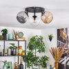 Ripoll Plafondlamp, Kogellampje Amber, Duidelijk, Rookkleurig, 3-lichts