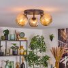Koyoto Plafondlamp, Kogellampje Amber, 3-lichts