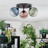 Chehalis Plafondlamp, Kogellampje Blauw, Groen, Duidelijk, Koperkleurig, 3-lichts Chehalis Plafondlamp, Kogellampje Blauw, Groen, Duidelijk, Koperkleurig, 3-lichts