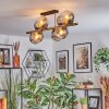Ripoll Plafondlamp, Kogellampje Goud, Zwart, 8-lichts