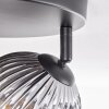 Ripoll Plafondlamp, Kogellampje Goud, Duidelijk, Koperkleurig, Rookkleurig, 3-lichts