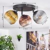 Ripoll Plafondlamp, Kogellampje Goud, Duidelijk, Koperkleurig, Rookkleurig, 3-lichts