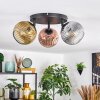 Ripoll Plafondlamp, Kogellampje Goud, Duidelijk, Koperkleurig, Rookkleurig, 3-lichts