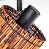 Cando Plafondlamp, Plafondspot Zwart, 4-lichts