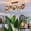Chehalis Plafondlamp, Kogellampje Goud, Zwart, 8-lichts