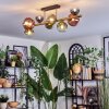 Chehalis Plafondlamp, Kogellampje Goud, Zwart, 8-lichts
