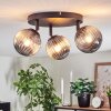 Chehalis Plafondlamp, Kogellampje Rookkleurig, 3-lichts