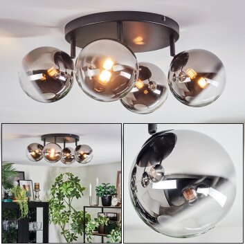 Chehalis Plafondlamp, Kogellampje Chroom, Duidelijk, Rookkleurig, 4-lichts