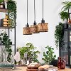 Cando Hanglamp, Hanglamp Natuurlijke kleuren, Zwart, 3-lichts