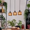 Cando Hanglamp, Hanglamp Natuurlijke kleuren, Zwart, 3-lichts