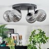 Chehalis Plafondlamp, Kogellampje Rookkleurig, 4-lichts