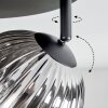 Chehalis Plafondlamp, Kogellampje Rookkleurig, 4-lichts