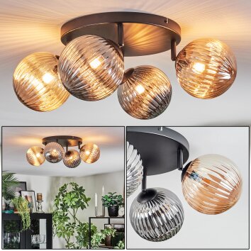 Chehalis Plafondlamp, Kogellampje Amber, Rookkleurig, 4-lichts