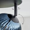 Chehalis Plafondlamp, Kogellampje Blauw, Groen, Koperkleurig, Rookkleurig, 4-lichts