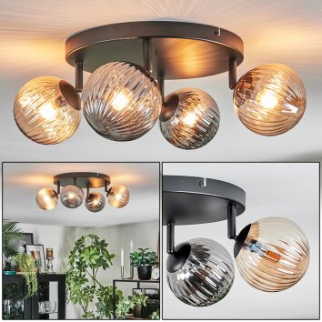 Chehalis Plafondlamp, Kogellampje Amber, Rookkleurig, 4-lichts