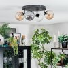 Chehalis Plafondlamp, Kogellampje Amber, Duidelijk, Rookkleurig, 4-lichts