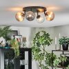 Chehalis Plafondlamp, Kogellampje Amber, Duidelijk, Rookkleurig, 4-lichts