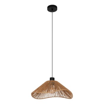 Eglo verlichting LAVISTER Hanglamp Zwart, 1-licht