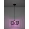 Eglo verlichting GINESTRONE-Z Hanglamp LED Zwart, 1-licht, Kleurwisselaar