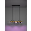 Eglo verlichting HORNWOOD-Z Hanglamp LED Bruin, Zwart, 4-lichts, Kleurwisselaar