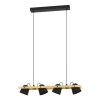 Eglo verlichting HORNWOOD-Z Hanglamp LED Bruin, Zwart, 4-lichts, Kleurwisselaar