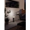 Eglo verlichting EGLO Stopcontact licht Antraciet, 1-licht