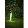 Eglo verlichting LED LED-strip LED Wit, 1-licht, Kleurwisselaar