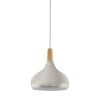 Eglo verlichting SABINAR Hanglamp Zilver