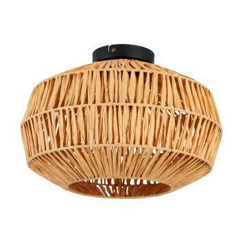 Eglo verlichting SHELDON Plafondlamp Zwart, 1-licht