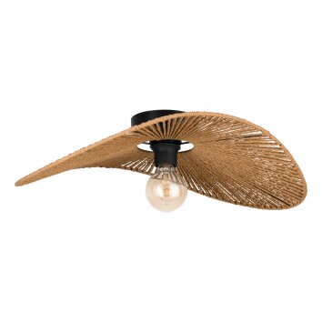Eglo verlichting SIRUELA Plafondlamp Zwart, 1-licht