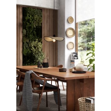 Eglo verlichting MARYWELL Hanglamp Zwart, 1-licht